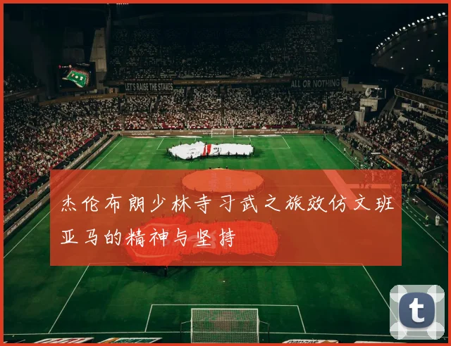 杰伦布朗少林寺习武之旅效仿文班亚马的精神与坚持