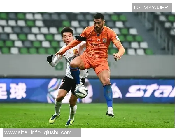 德足协红点规则引发争议停赛场次竟与对方点球进球与否相关